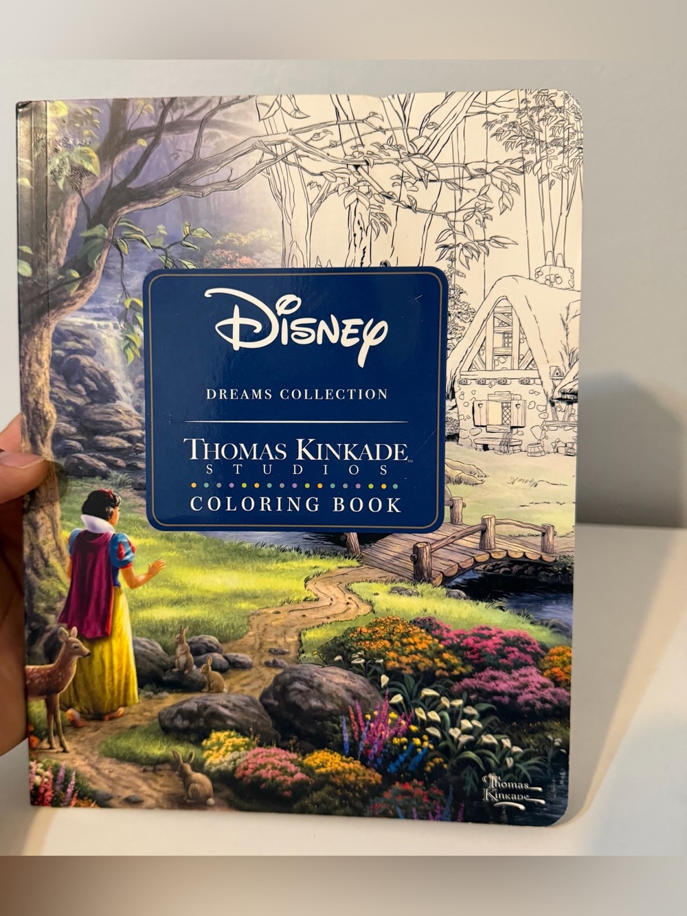 Disney Dreams Collection Thomas Kinkade Studios Coloring Book